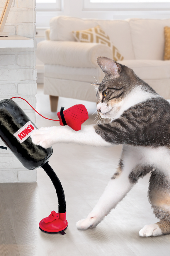 KONG GATO JUGUETE CONNECTS BOXEO SACO