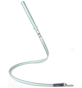 TREPONTI CORREA NEW SILVER  MINT 118 CMS