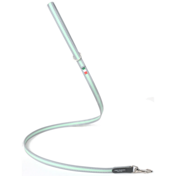 TREPONTI CORREA NEW SILVER  MINT 118 CMS