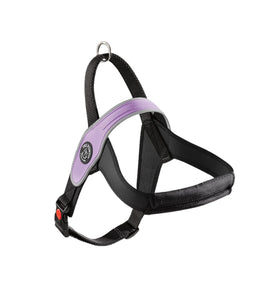 TREPONTI ARNES PRIMO LILA TALLA XL