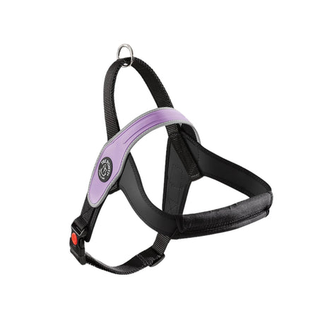 TREPONTI ARNES PRIMO LILA TALLA M