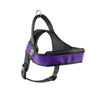 TREPONTI ARNES PRIMO PLUS ONYX VIOLETA M