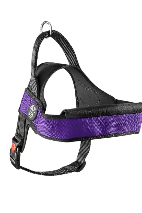 TREPONTI ARNES PRIMO PLUS ONYX VIOLETA M